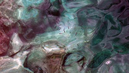 Aquarela