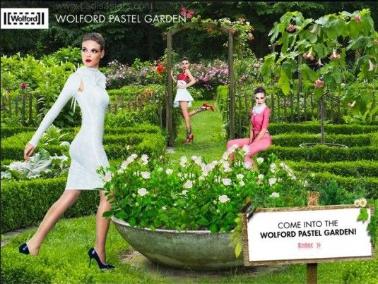 jardin 535x403 jardin 535x403
