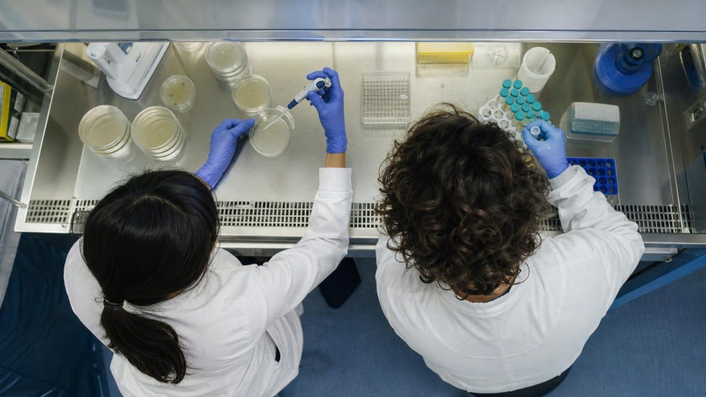 Stanford crea con IA fagos funcionales que infectan E. coli a partir del bacteriófago ΦX174