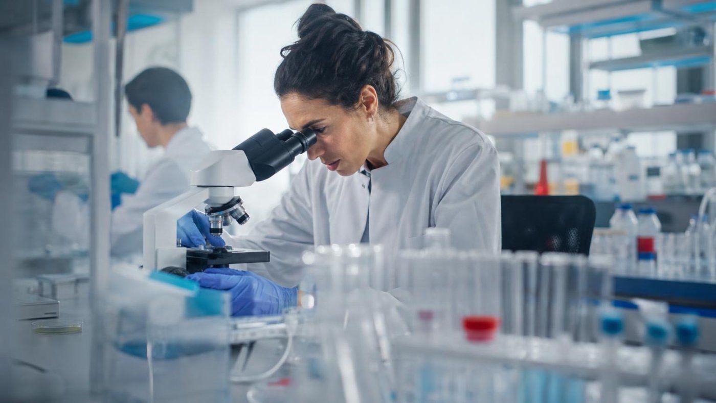 Stanford crea 16 bacteriófagos viables con IA a partir del genoma del virus ΦX174 Stanford crea 16 bacteriófagos viables con IA a partir del genoma del virus ΦX174