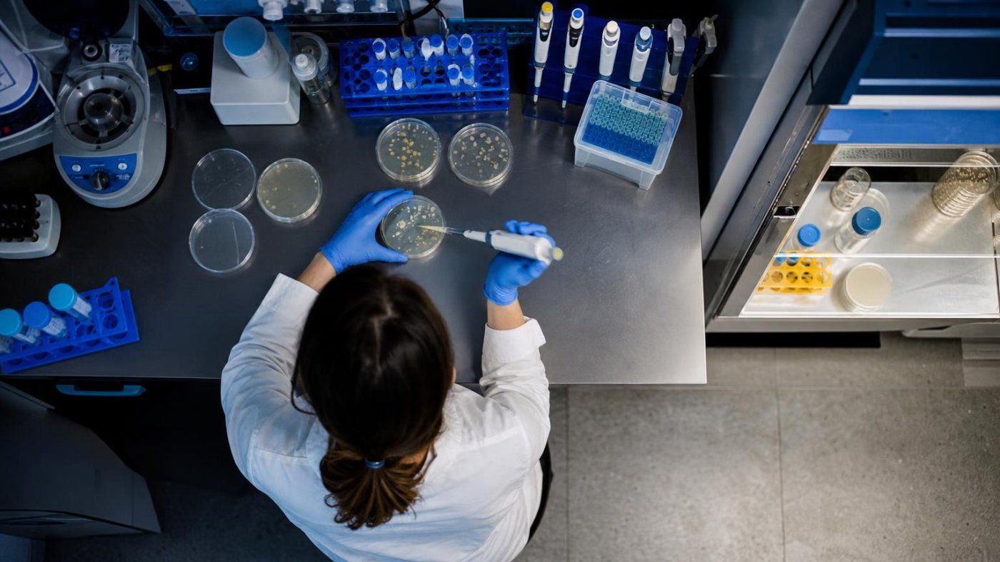 Evo diseña 16 virus viables para E. coli y activa alertas por bioseguridad