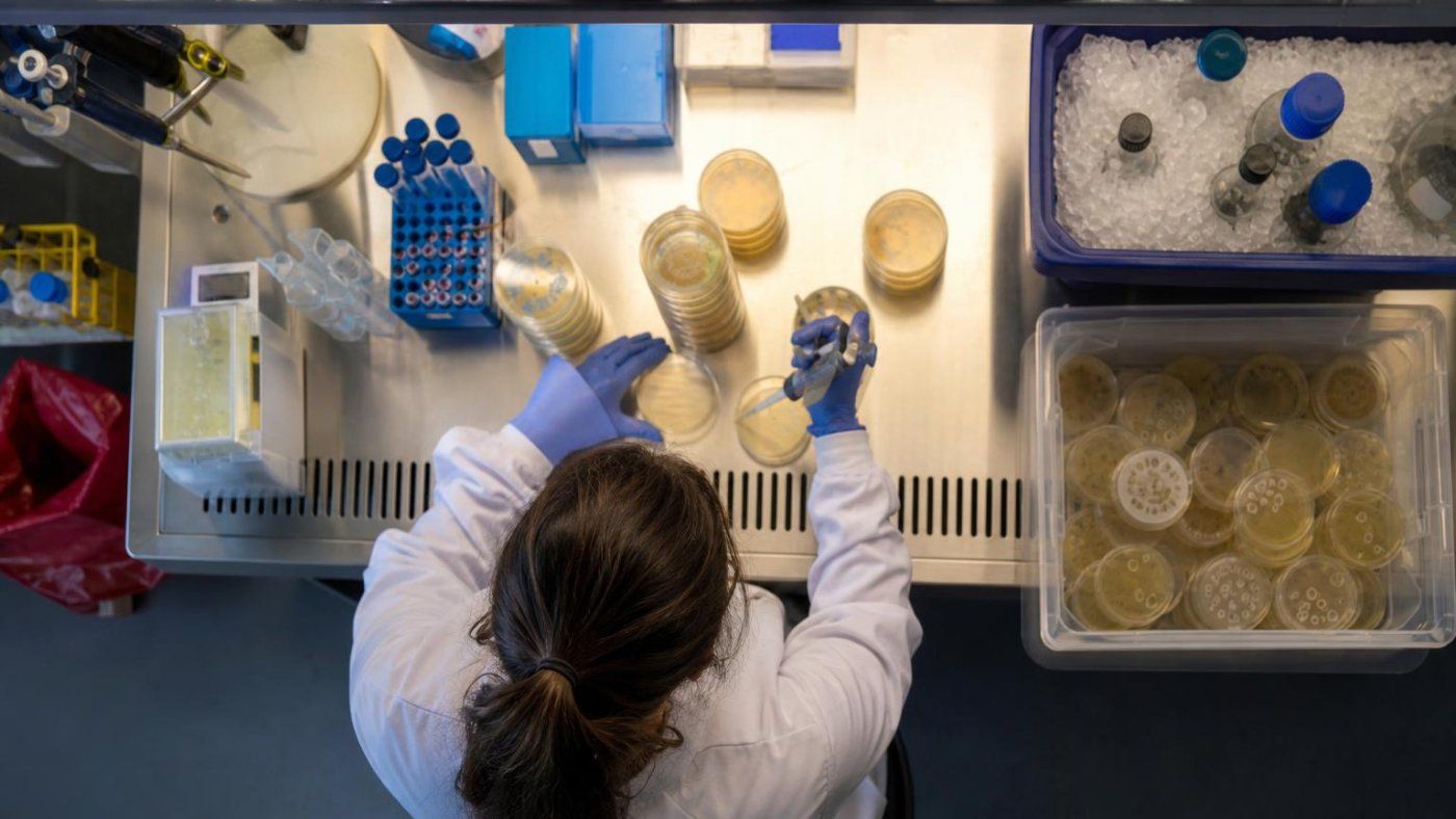 Stanford crea 16 fagos sintéticos con IA que superan a un virus natural contra E. coli