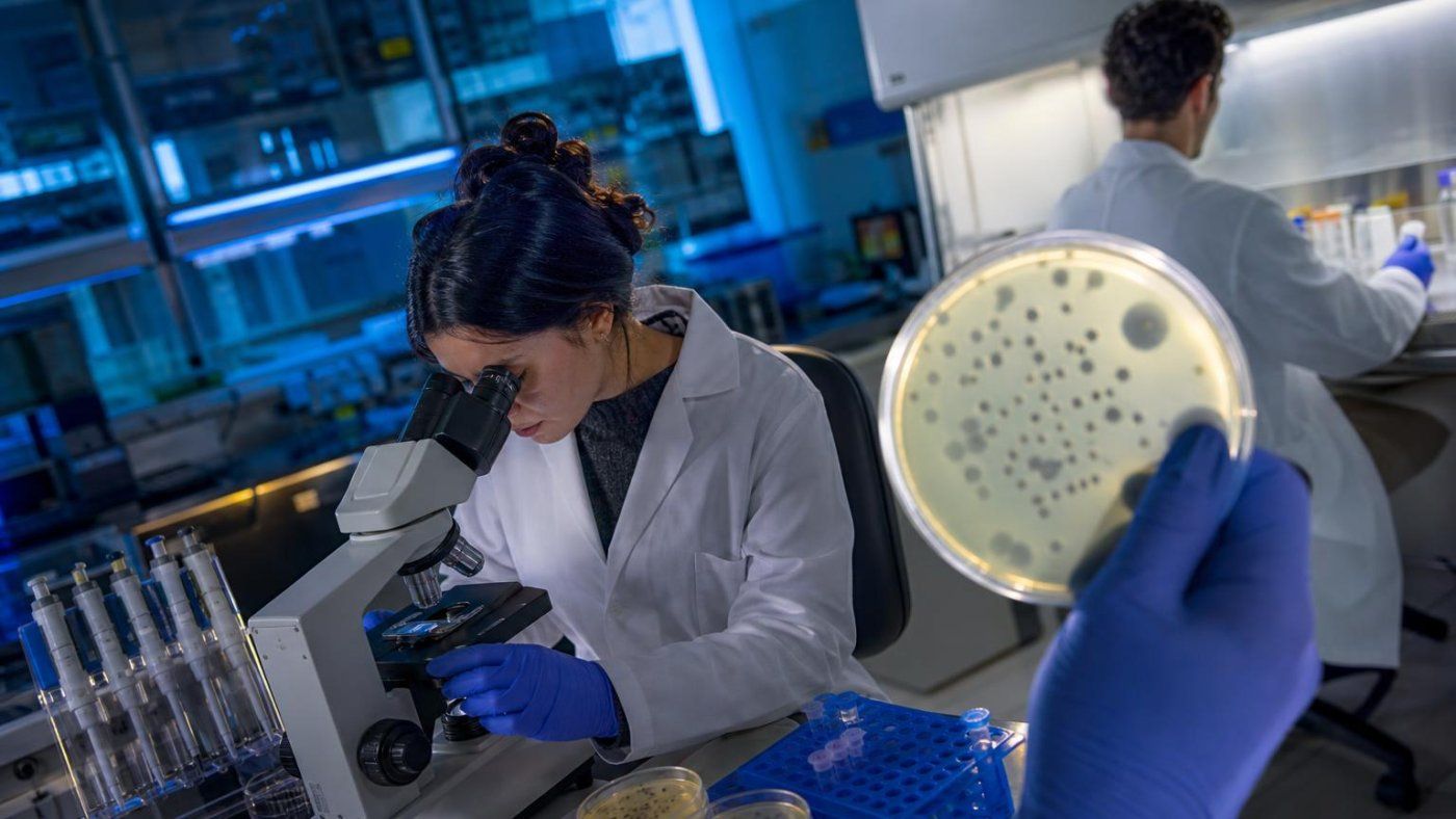 IA de Stanford diseña 16 bacteriófagos capaces de destruir E. coli resistente tras probar 700.000 variantes