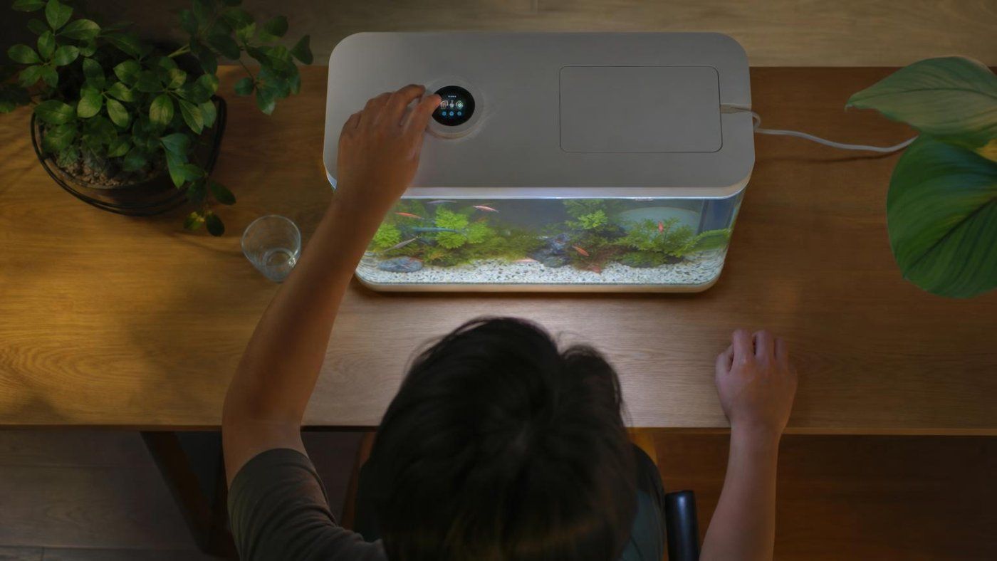 Xiaomi Mi Home 2 Pro: un acuario inteligente de 89 euros con pantalla, voz y alimentación automática