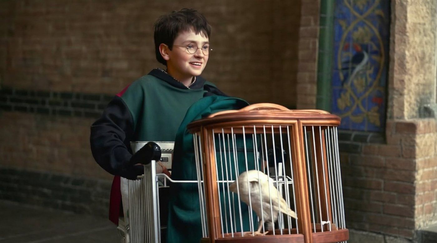 'Harry Potter' en HBO cambia los escudos de Hogwarts: Ravenclaw recupera el águila y se aleja del cine