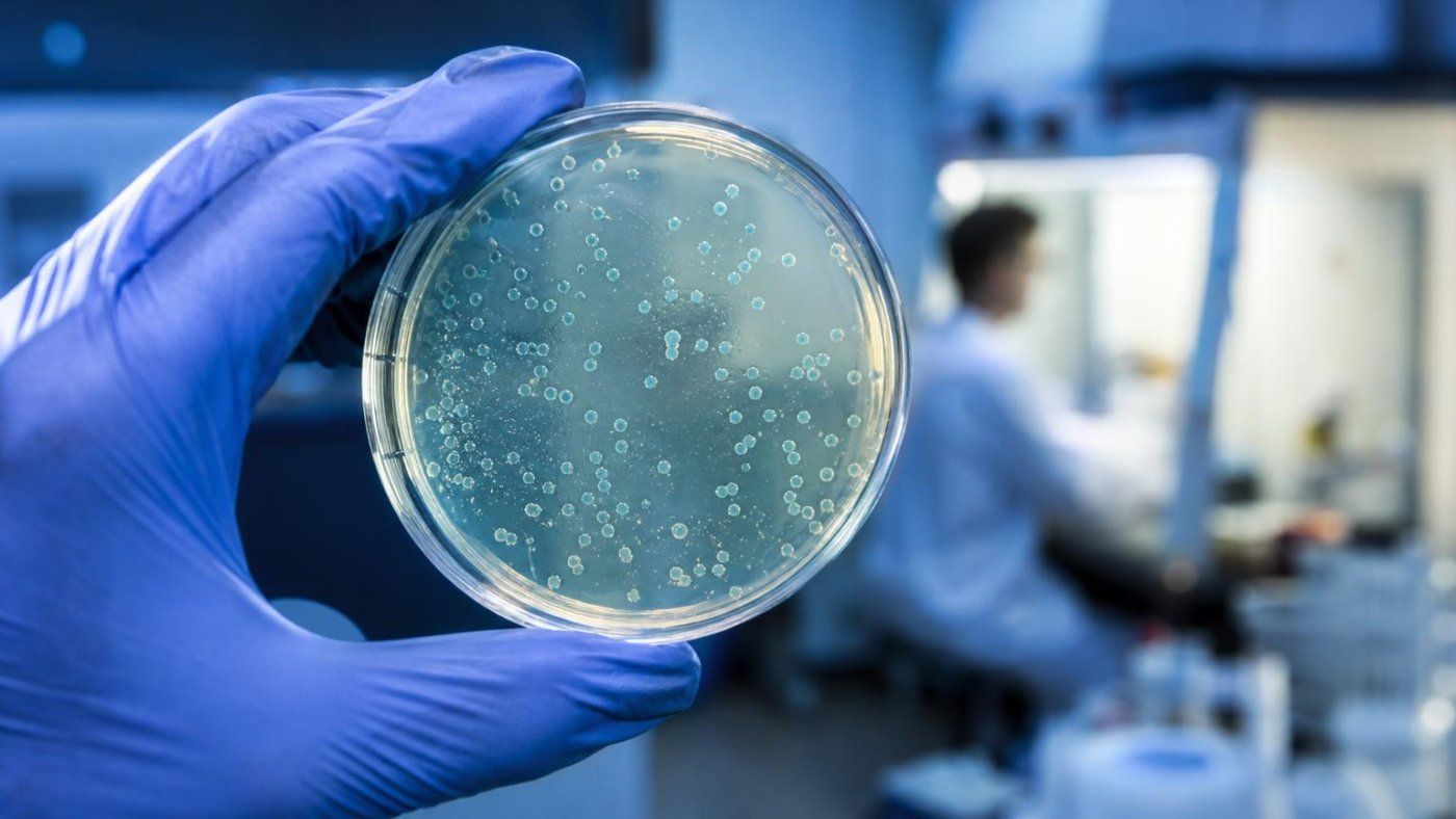 Radical Numerics trata a un paciente con virus diseñados por IA contra bacterias resistentes
