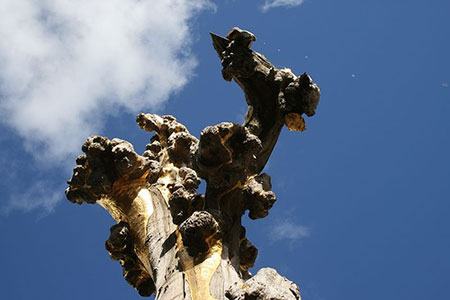 Foto 2 millones en Flickr