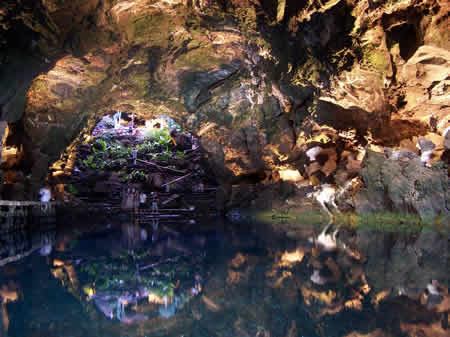 Jameos del Agua