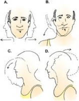 Ejercicios sentados cuello