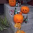 Pumpkin Halloween Calabaza 7