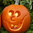 Pumpkin Halloween Calabaza 8