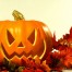 Pumpkin Halloween Calabaza 9