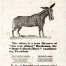 1856: James Buchanan (Democrat) v. James Fremont (Republican) v. Millard Fillmore (American)