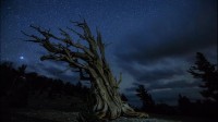 Time-lapse de las Perseidas